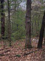Lot 6&7 Mull Lane