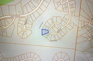 Lot 10 Grier Drive