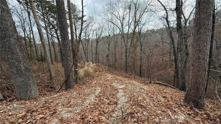 Lot 31, 32, 33 Bridge View Circle
