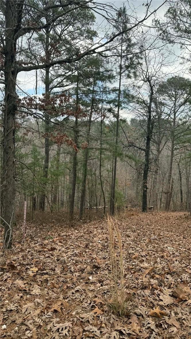Image 4: View of woods