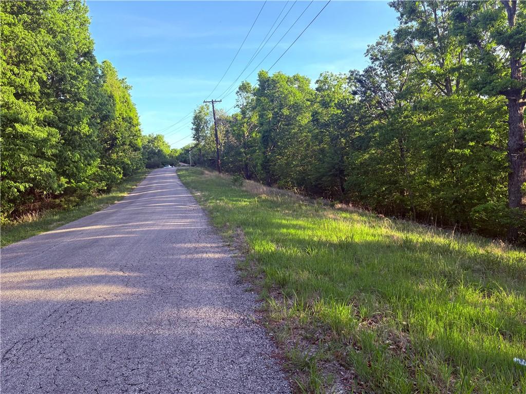 Image 3: Paved road bordered by natural foliage and mature