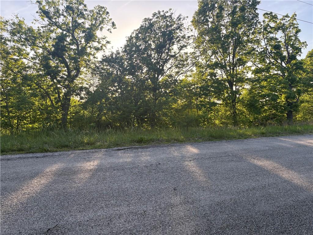 Image 4: Roadside parcel featuring mature trees, natural la