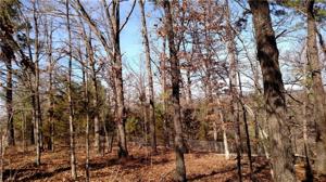 Tract 2 Cooper Drive