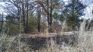 Tract 4 Hwy 264