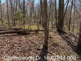Chelmsworth Drive