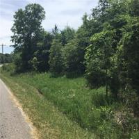 Goldenrod Lane & Posy Mtn.