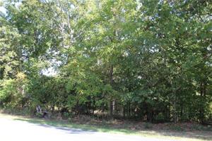 Lot 1 E AR Hwy 264