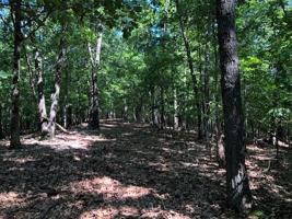 Lands End /Gravely Hill Road