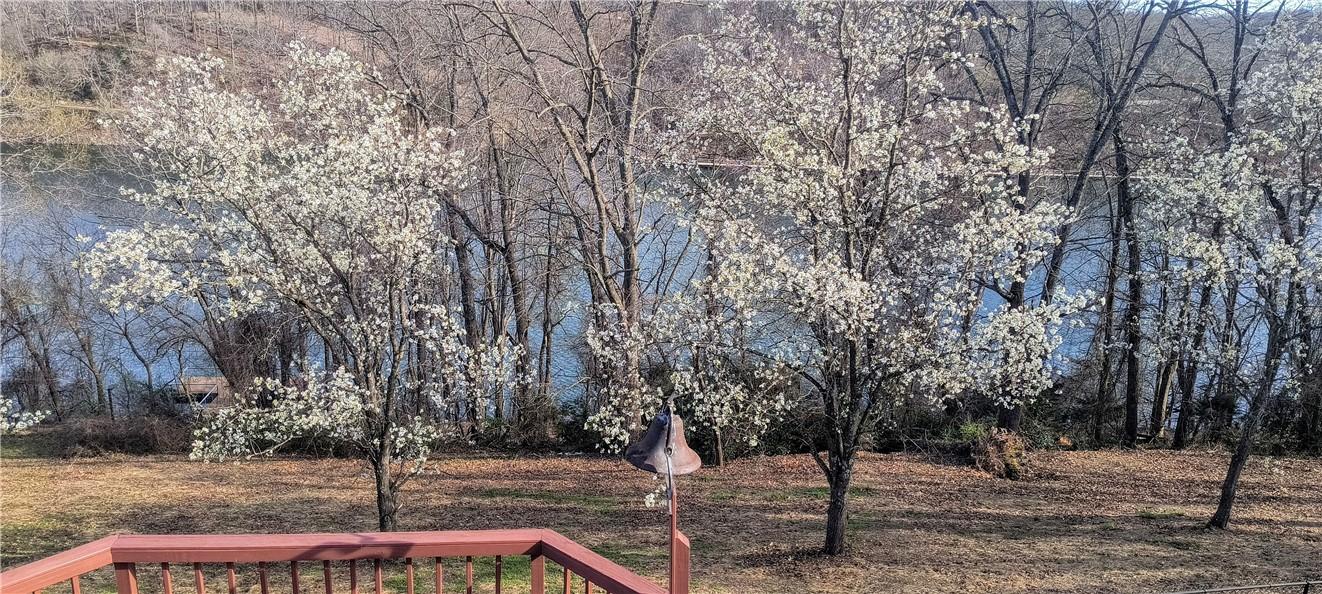 Image 1: Water view featuring a heavily wooded area