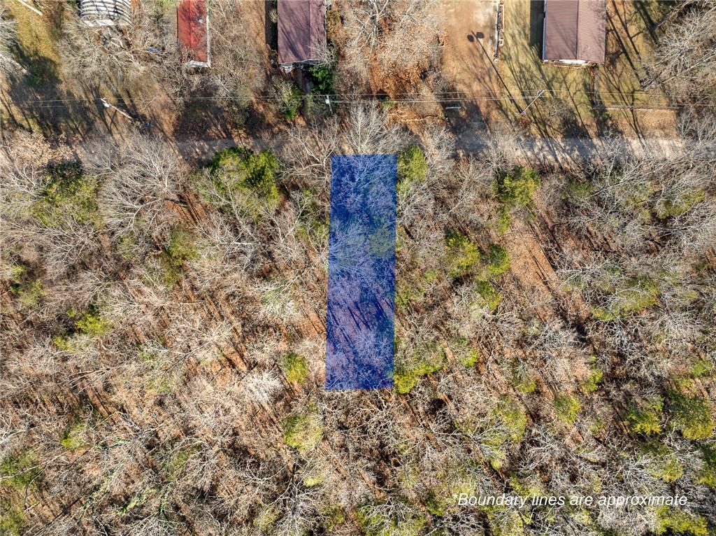 Image 2: Wooded lot featuring mature trees and established