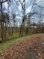 Morvan Lane