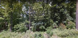 Lot 25 Woodstock Lane