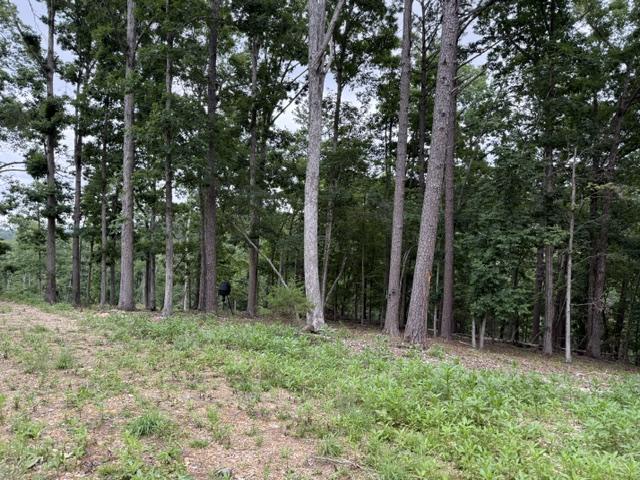 Image 3: Wooded property featuring mature trees and natural