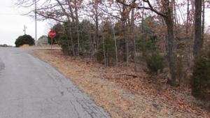 Marisco Lane