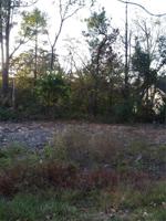 Crosshill Drive