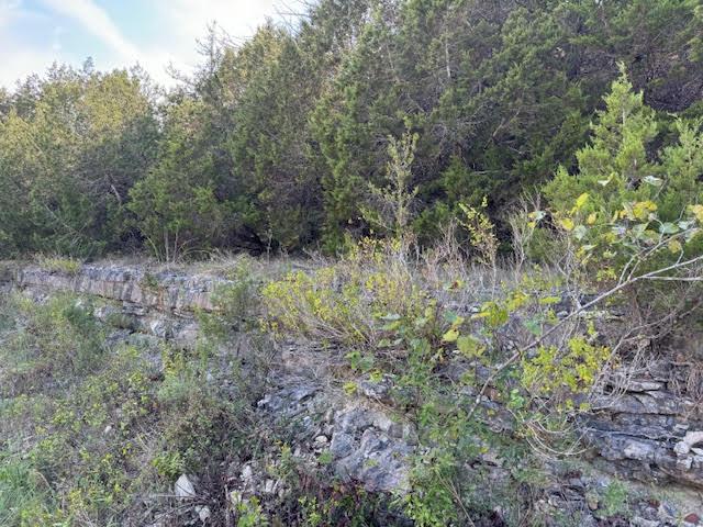 Image 3: Natural rock formations and dense evergreen foliag