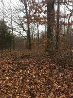 Bradford  DR