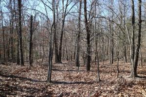 Lot 21 Cargill  DR