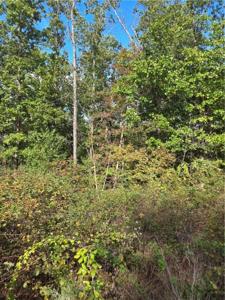 Lot 40 Glyndebourne Drive