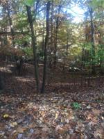 Lot 77 Dogwood Drive