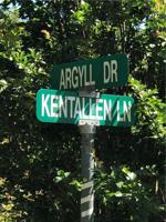 Argyll Drive