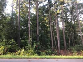 Lot 4 Bassingham Drive