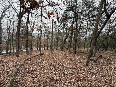 TBD Beaver Drive