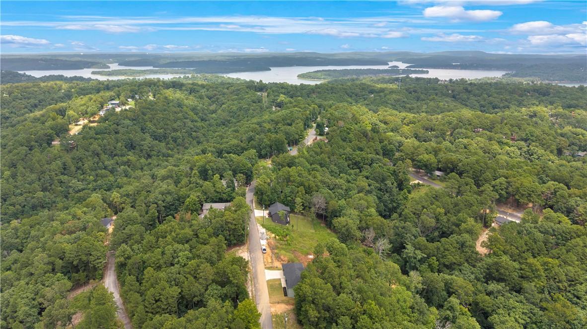 Image 2: Aerial perspective showcasing a verdant, tree-cove