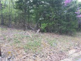 Wild Turkey Drive