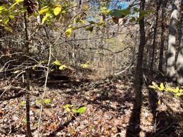 Lot 10 Eddy Lane