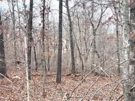 Lot 6 Block 4 Walsham Drive