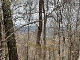 11 Bobwhite Lane