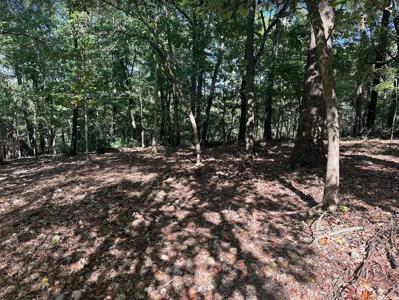 9241 COBBLE Lane