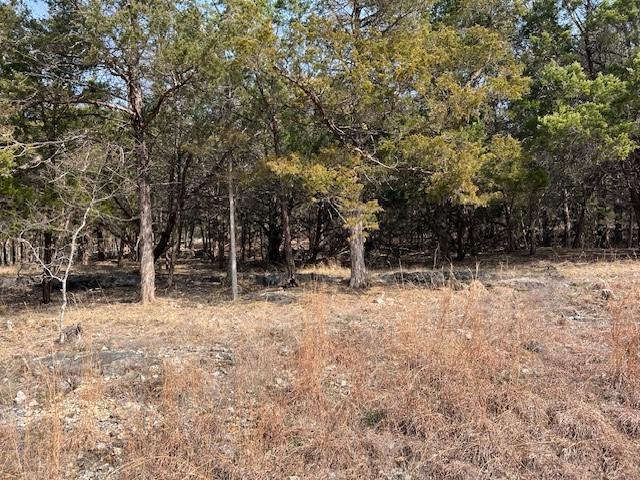 Image 4: View of tree filled area