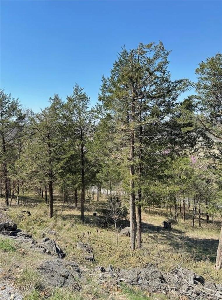 Image 3: View of local wilderness