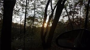 Lakeview Drive