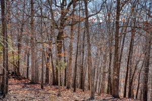 Beaverview Drive