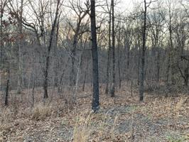 Lot 4 New Abbey Drive