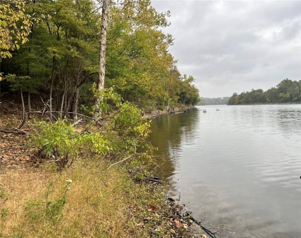 Image 3: view from the corp line