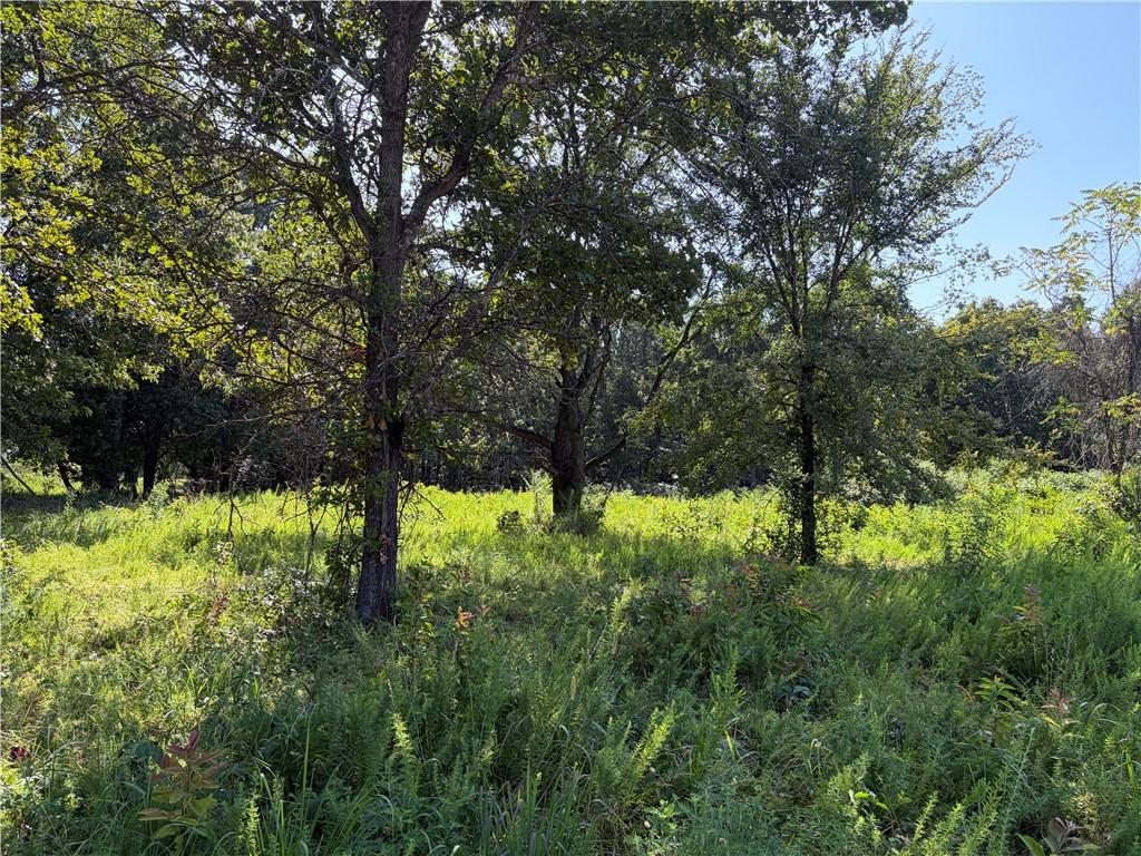 Image 2: Expansive land parcel featuring mature trees and d