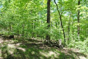 Lot 2 Canyon Village Rd