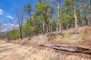 Lot 1- 4 Buck Lewis Road