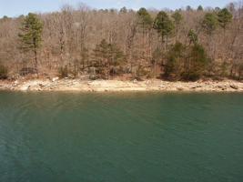 Cedar Cove