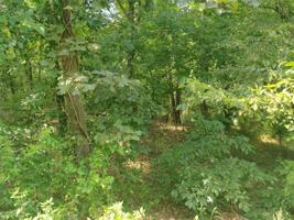 (Lot 5/Block 4) Mayfair Drive