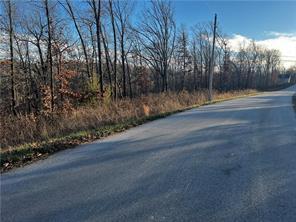 Image 2: Paved road frontage with natural tree line and bru