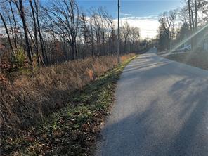 Image 4: Paved road bordering an undeveloped parcel with ma
