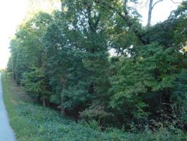 Lot 55 Vegas  DR