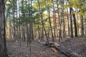 6.16AC Huckleberry Lane