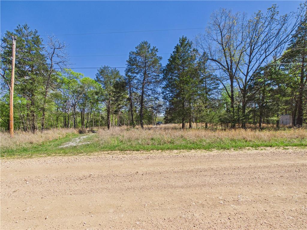 Image 1: View of local wilderness