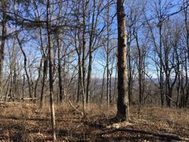 Lot 26 Oak Cliff  LN